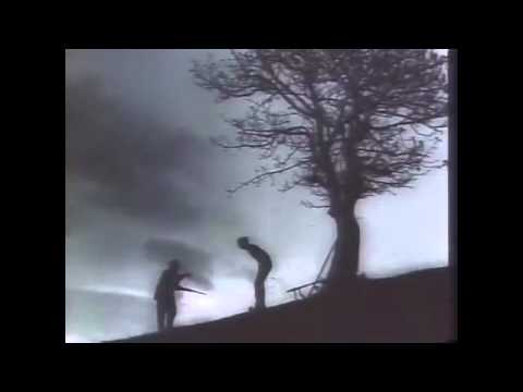 ილიკო კი არა მთხლეი ხარ (მე,ბებია,ილიკო და ილარიონი)