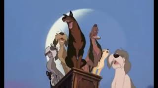 Lady and The Tramp 2 Scamp’s Adventure (2001) Junkyard Song scene HD