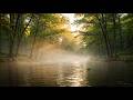 Soothing Flowing Water & Relaxing Music for Anxiety Relief & Inner Calm 🌿🌊✨