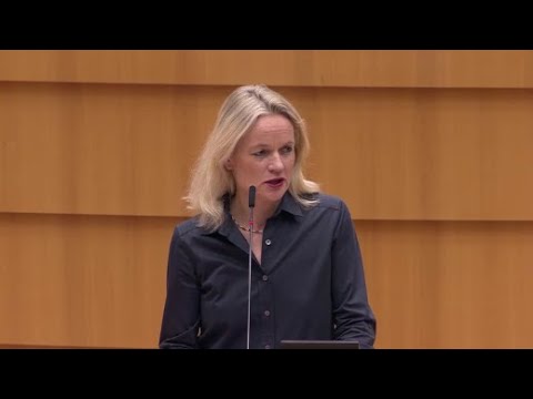 პოლიტიკურ ელიტას არეულობის დასრულება არ სურს- ვიოლა ფონ კრამონი