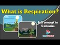 What is Respiration? | Class 10 Life Processes - LearnFatafat