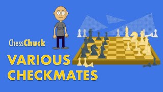 How to Play Chess: Different Checkmate Techniques