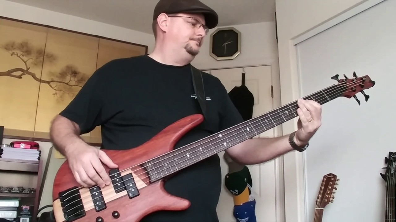 Bass cover Wildflower by Tom Petty YouTube