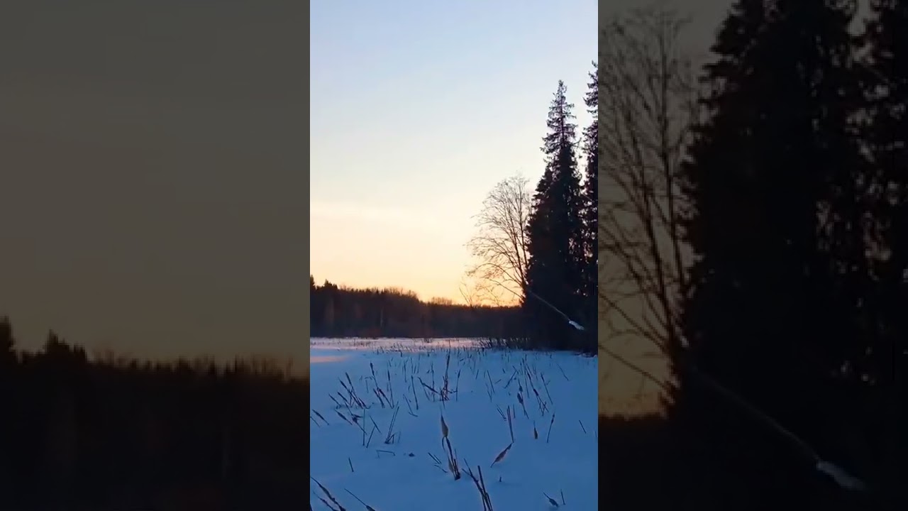 тайга | землянка | избушка