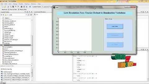Final Year Projects | Low-Resolution Face Tracker Robust to Illumination Variations