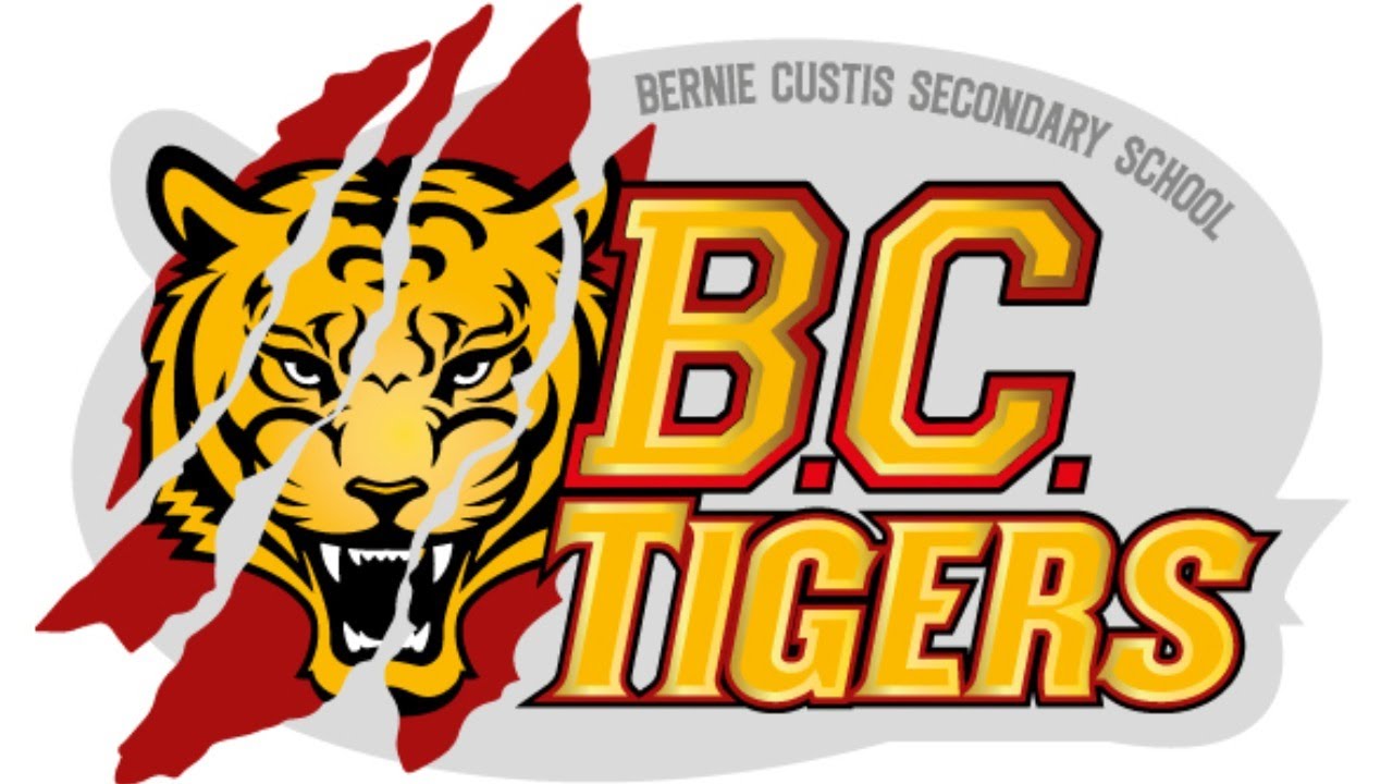 BCSS Staff Videos - YouTube