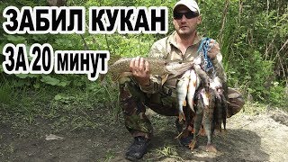 ЗАБИЛ КУКАН ЗА 20 МИНУТ