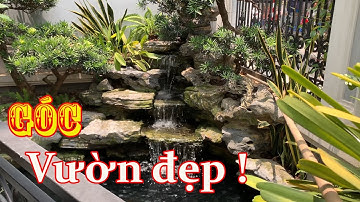 Chiếu sáng Hồ Koi: góc vườn nhỏ xinh của anh chủ nhà yêu cá.