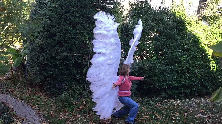 11 Foot tall Archangel Wings video demonstration A...