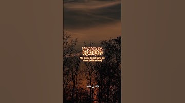 قران كريم ارح قلبك وسمعك #المصحف #راحة_نفسية #قران_في_دقيقة #ياسر_الدوسري #قرآن