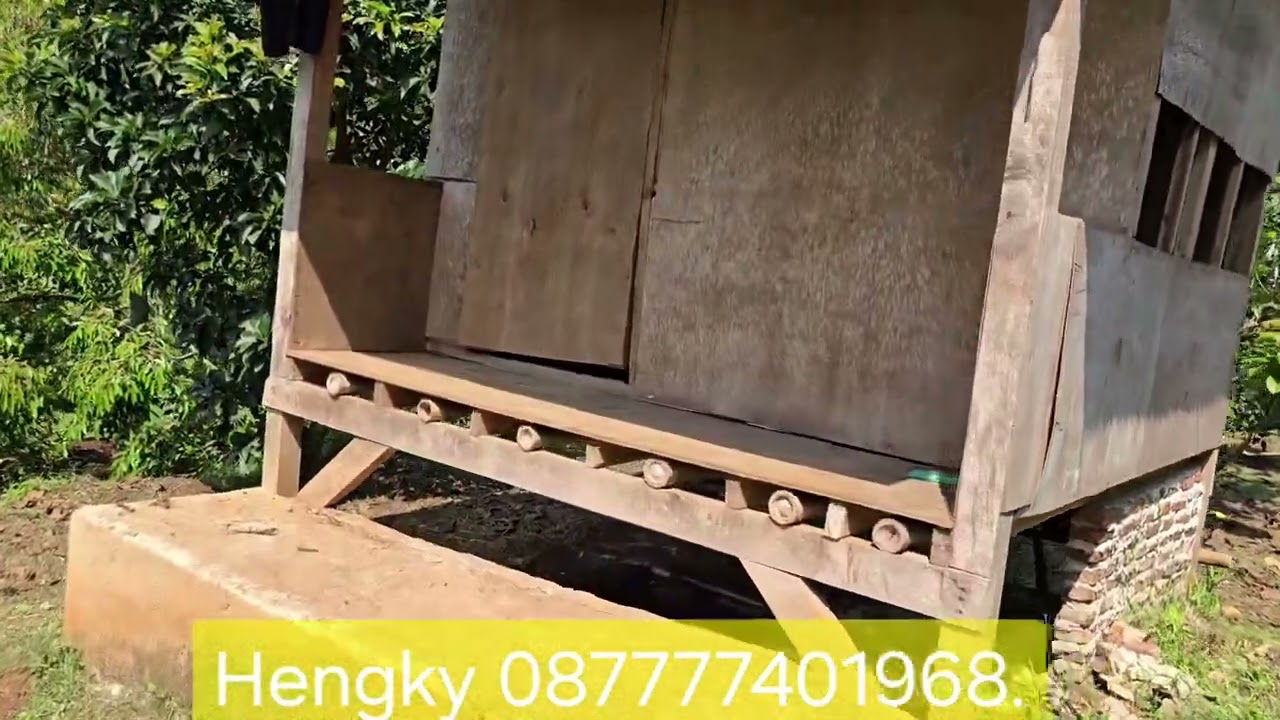 DIJUAL LUAS 2.5 Ha, jumlah pohon 400 btg.