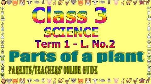 Class 3 Science Term 1 L.No.2 Parts of a Plant Online Guide for Parents and Teachers