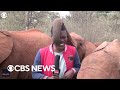 Baby elephant interrupts reporter on camera