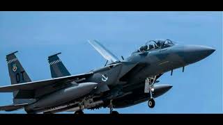 PART 5 FINALE: What are their thoughts???? (What do professional black aviators think?) 