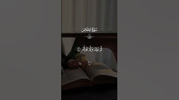 سوره الاخلاص مشاري العفاسي #قران #مشاري_العفاسي #quran #قران_كريم #تلاوة_خاشعة #alaa_mustafa_1