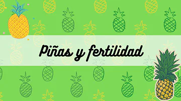 ¿Cómo ayuda la piña a la fertilidad?