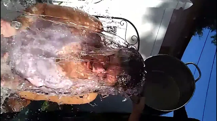 Marla Howes-Weitershau...  Lamb ALS Ice Bucket Cha...