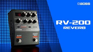 BOSS RV-200 Reverb | Ambient Bliss