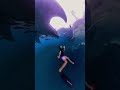 Hiu Paus dan Wisatawan di Derawan
