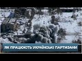 💥 Українські партизани діють: вони знищують логістику і військових РФ