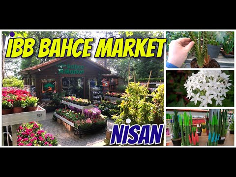 İBB BAHÇE MARKET'i Nisan'da Ziyaret Ettim (ALİBEYKÖY)