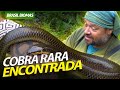 ENCONTRAMOS UMA SERPENTE MUITO RARA NO PANTANAL! | RICHARD RASMUSSEN