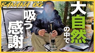 [Banana OG] カナダの自然を味わいながら大麻レビュー!!!
