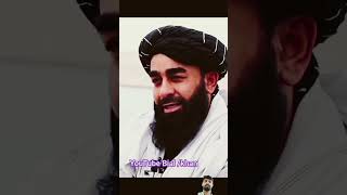 #video #voral #taliban #afghanistan #acceleration #funny #all #comedy #breaking