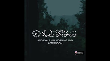 يا ايها الذين آمنوا اذكروا الله ذكراً كثيراً _ القارئ ياسر الدوسري 🌿💜 ماتيسر من سورة الاحزاب