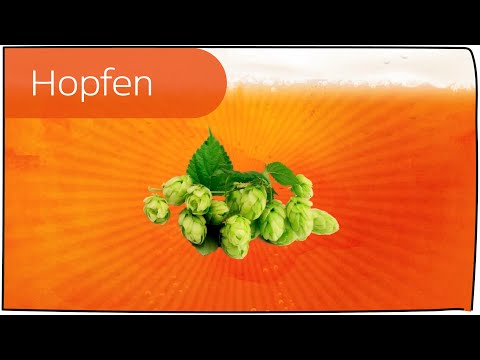 Video: Hopfen-Suneli - Zusammensetzung, Nützliche Eigenschaften, Anwendung