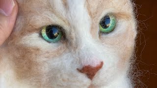 Cat Portrait Miru Chan -2