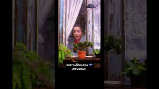 Gerilla Eğitimi Sıdıka En Iyiler Yağmurlu Mu Bugün Van