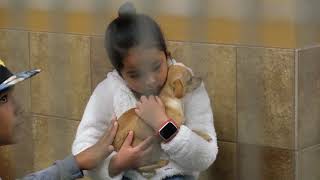 February 2019 Petsmart Charities National Adoption Weekend