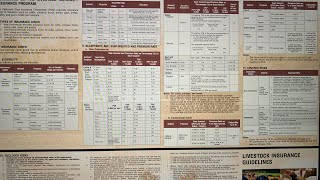 PCIC- INSURANCE PARA SA BABOY #babuyan #business #trading