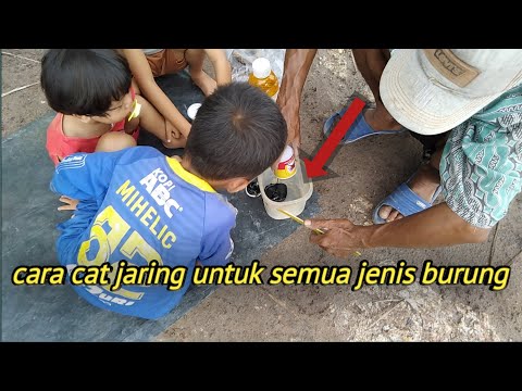 Video: Di Mana Jaring Cat Diterapkan?