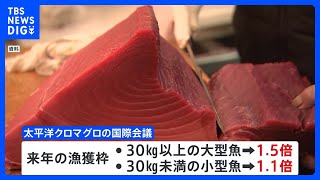 太平洋クロマグロ　大型魚の漁獲枠1.5倍で正式合意｜TBS NEWS DIG