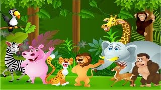 funny animals coloring for kids