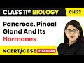 Class 11 Biology Chapter 22 | Pancreas, Pineal Gland And Its Hormones NEET/CBSE