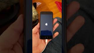 iPhone 7 bootloop