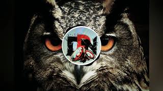 Ep Jungle Terror  Deep Drop Nation September 2018 [Drum]