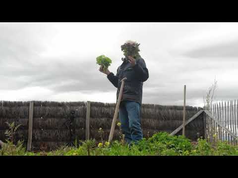 Vidéo: Potager En Hauteur. Nous Fabriquons Un Lit En Vrac