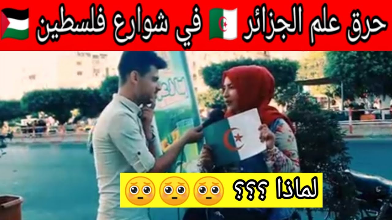 حرق علم الجزائر مقابل 100‏$ في شوارع فلسطين - YouTube