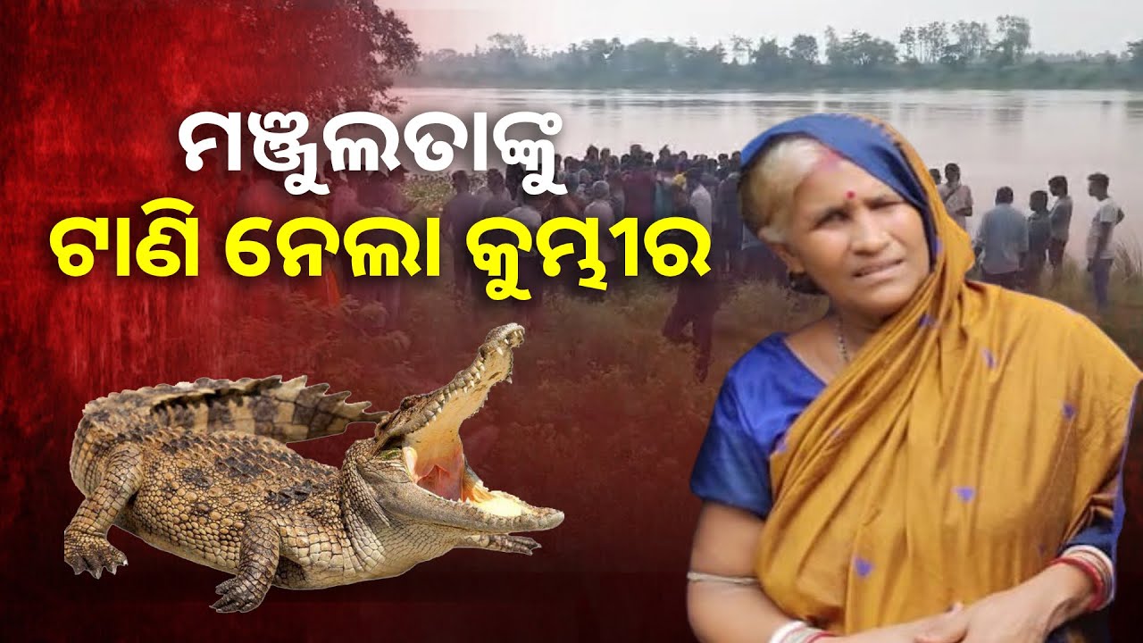 ସାବଧାନ ! ନଦୀରେ ପୁଣି ମାତିଲେଣି କୁମ୍ଭୀର, ସତର୍କ ହୋଇ ରୁହନ୍ତୁ ||Knews Odisha