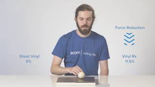Ecore | Safety, Ergonomics, & Acoustics