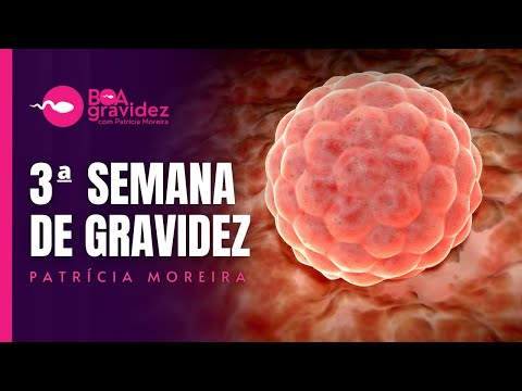 Vídeo: 3 semanas de gravidez - o que esperar