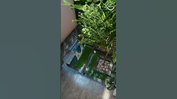 3D Courtyard Visualization
