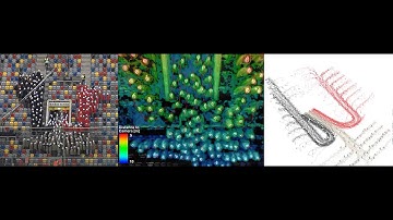 Extracting trajectories of people in space