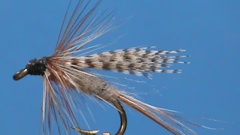 Fly Tying for Beginners an Adams Wet with Jim Misiura