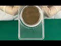 petri slides Membrane Filter Storage Box Gaby Size 47mm