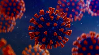 Coronavirus: US COVID-19 deaths top 223,000 with cases surpassing 8,400,000 as they continue to rise